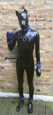 pupbolt:  Loving my new rubber lockable restraints, collar and