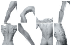 emogay13:  Rad Hourani “Unisex Anatomy" 