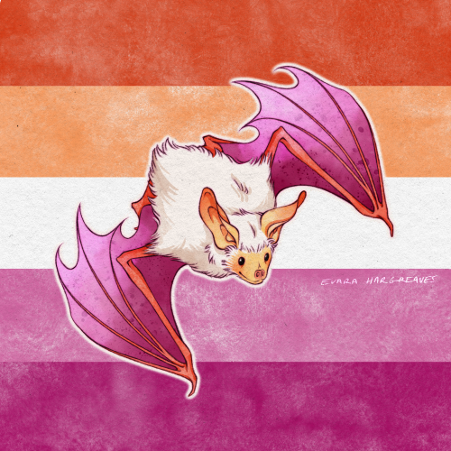 enbees-and-aros: evara-hargreaves: I made some pride bats, enjoy!