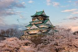 marshimoo:  sixpenceee:  Osaka Castle is a Japanese castle in