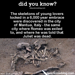 did-you-kno:  The skeletons of young lovers locked in a 6,000