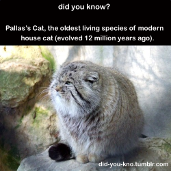 did-you-kno:  Source