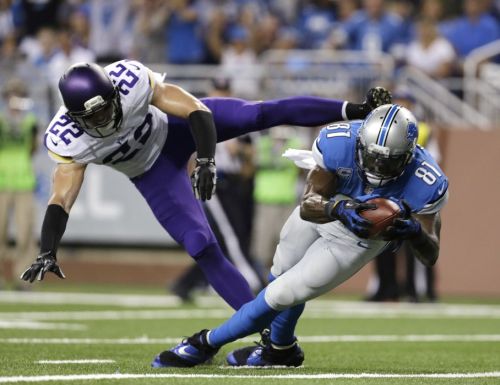 Harrison Smith 2013