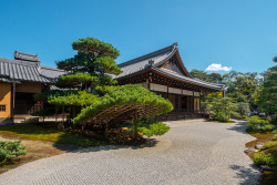 taarik7:書院 - 金閣寺 ／ Kinkaku-ji Temple by Active-U