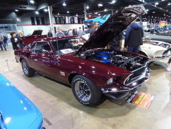 fromcruise-instoconcours:  Boss 429 Mustang