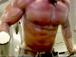 gym-punk-jock-nerd:  DIPS & FLEX