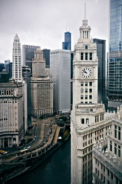 fuckyeahairplaness:   Wrigley Building from Tribune Tower (by