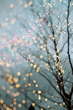 thelustingcanadiangentleman:  dranilj1: Fairy Lights in Trees,