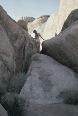 vextape: arise, therefore. vex | joshua tree 