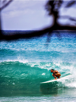 highenoughtoseethesea:  Paradise. Ph: Zak Noyle