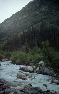 captivesouls:  Nature