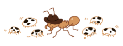 mossworm:in an ant accent: howdy
