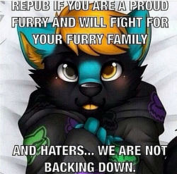 tagdavid:  dovin-the-furry:  Fuck with our family, see what happens. 