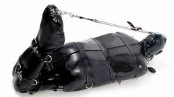 mega-kink: whipman-andy:  Stored rubber toy….until Master needs