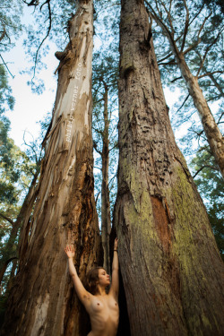 philipwernerfoto:  rennapierce by Philip WernerOlinda Falls track.