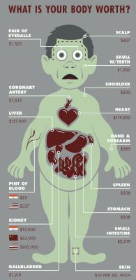 sixpenceee:  Here’s How Much Body Parts Cost on the Black Market