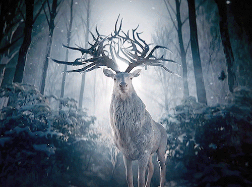badcode:magic or mythical deer in film and tv (see also: fucked
