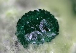 vugnasmineralblog:    Olivenite Cornwallite & Agardite-(Ce)Clara