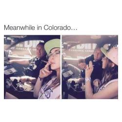 thepotheadotaku:  This Is Y I Need To Go To Colorado 😂😂💨