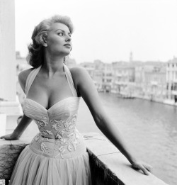 vintagegal:  Sophia Loren photographed at the Venice Film Festival,