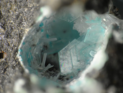 underthescopemineral:  Unnamed (Gordaite-related Ca-Zn Sulphate