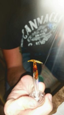 trippinwithmysoul:  Shots I took while trippin. dabbersdaily