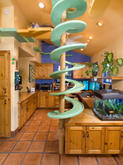 cxstro:  uggly:  Garden Oasis - The Cat House by Trillium Enterprises,