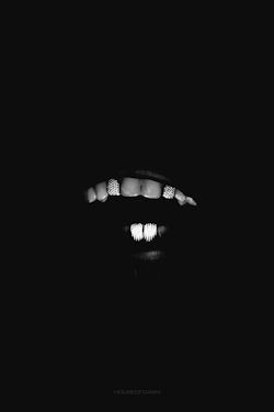 noir43