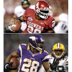 uofoklahoma:  Adrian “All Day” Peterson, from OU to the Minnesota