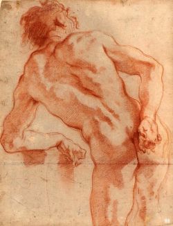 hadrian6:  Study of a Male Nude from behind. 16th.century. Annibale