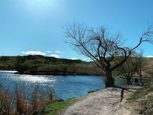 We live in paradise.  (at Contra Loma Regional Park) https://www.instagram.com/p/CLijricLkMx/?igshid=byy5zwnkvtub