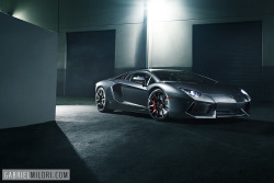 automotivated:  Aventador (by Gabriel Milori)