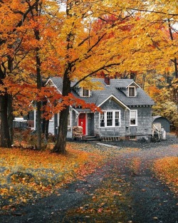 autumn-fireside:  Michael Block