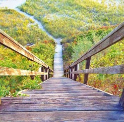 cape-cod-classy:  Steps to the beach, Cape Cod, MA