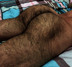 smellspissandmore:I imagine how musky this hot hairy ass must