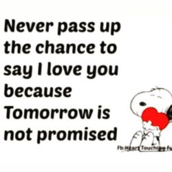 ig-ba:Never promised .. by jessicacanizalesvip instagram://user?username=jessicacanizalesvip