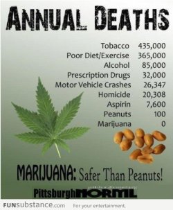 funsubstance:  How weed is safer than Peanuts
