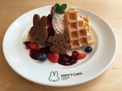 petitcho:  Miffy Cafe 