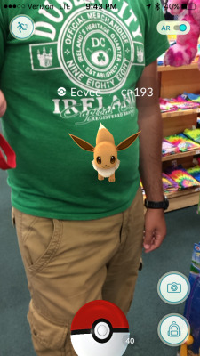 fillin-chubby: Ya know, just casually catching Pokemon on his