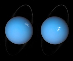 colchrishadfield:  Moving auroras and a ghostly ring - Uranus