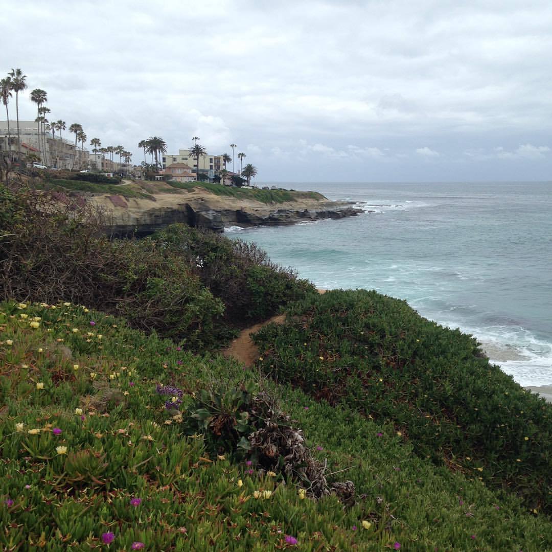 <p>at La Jolla Cove, Ca</p>