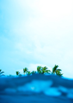 0ce4n-g0d:  A-Bay - Waikoloa, Hawaii               