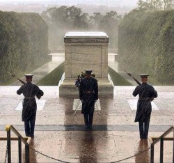 canadianshits: ARLINGTON CEMETERY  A Veteran is someone who,