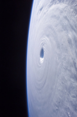the-science-llama:  Hurricanes/Typhoons viewed from Space Typhoon