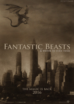 hpstuffs:   Countdown: Two years to Fantastic Beasts & Where