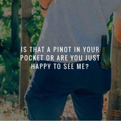 I’d be happy to see you if you had a pinot in your pocket.