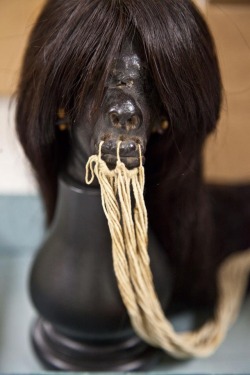 This is an authentic, ceremonial shrunken head made by the Shuar