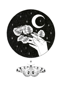 where is my mind?﻿
