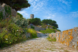 tulipnight:  Guernsey Scenery & Photomanipulations - www.freestock.ca