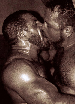 boxerbeograd:  Kiss